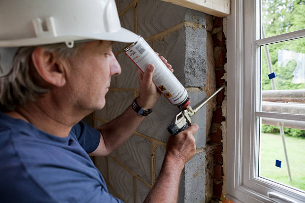 Best Cellulose Insulation  in Katy, TX